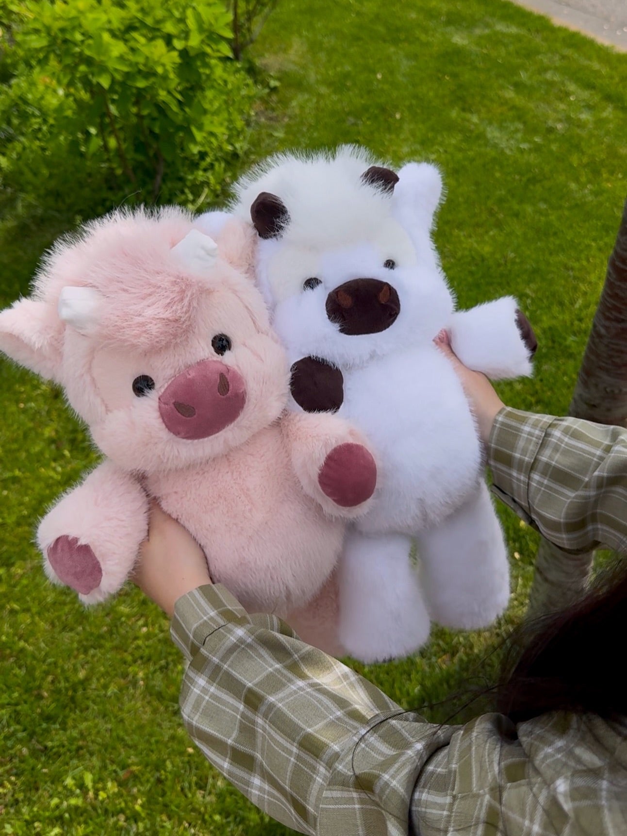 Blushy™ — La Peluche interactive Qui Court 🐾