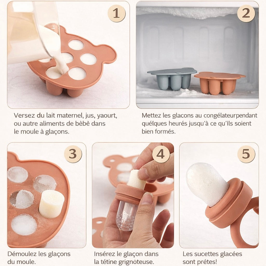 Set d'Éveil Alimentaire Ours : Grignoteuse & Moule en Silicone